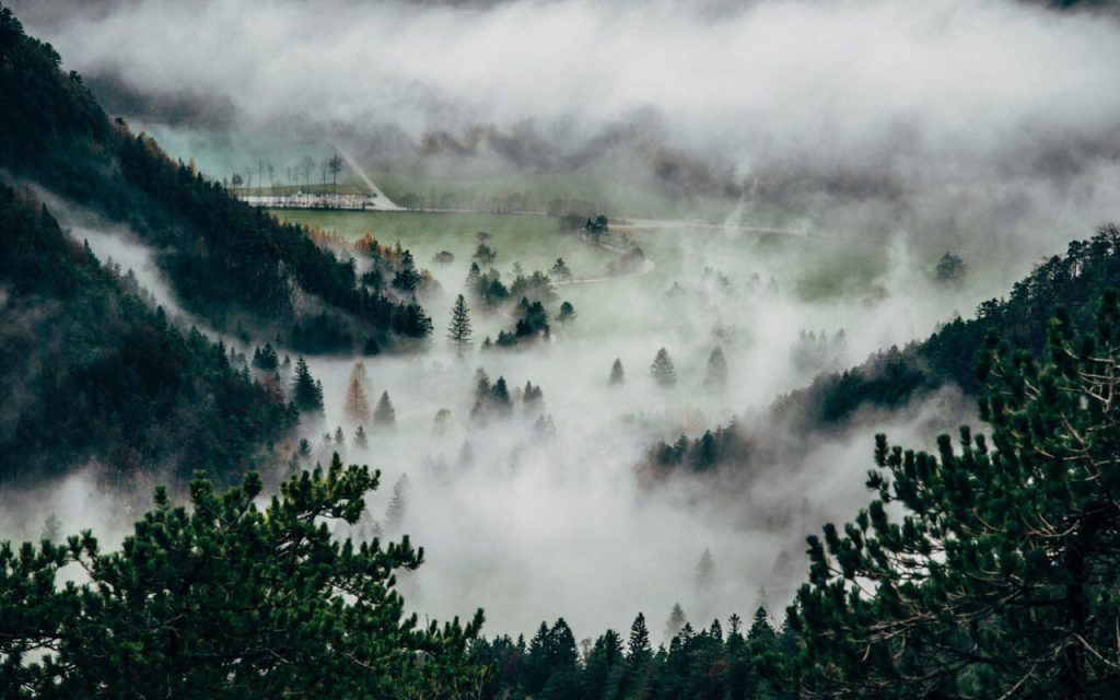 Hidden dreams